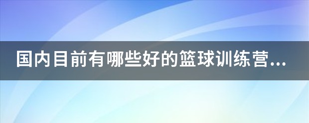 哪里有针对青少年的篮球声誉培养计划_2